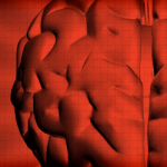 So What Does The Brain Of A Designer Look Like?