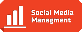 Social Media Management